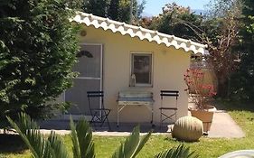 Cosy Garden Studio